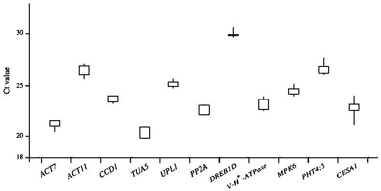 Reference gene screening method for stable expression of suaeda salsa under salt stress