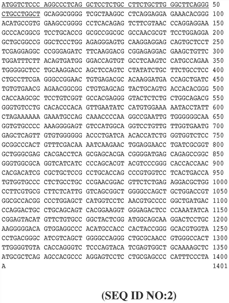 Compositions, devices and methods for factor VII therapy