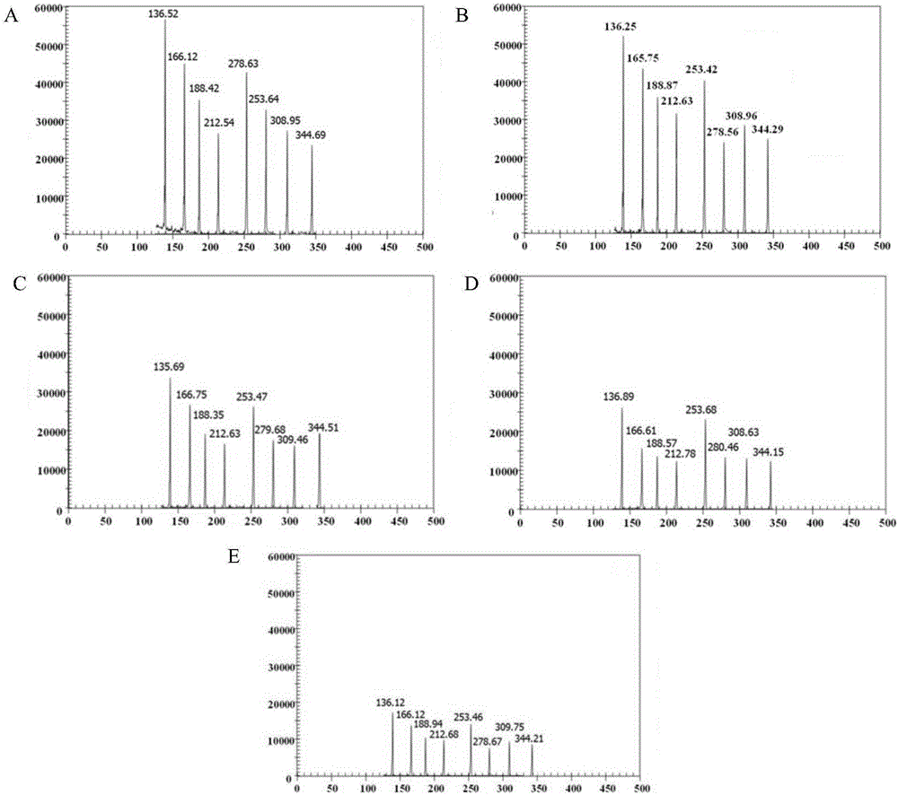 Primer combination for simultaneously identifying 8 kinds of cattle pathogens and GeXP detection method