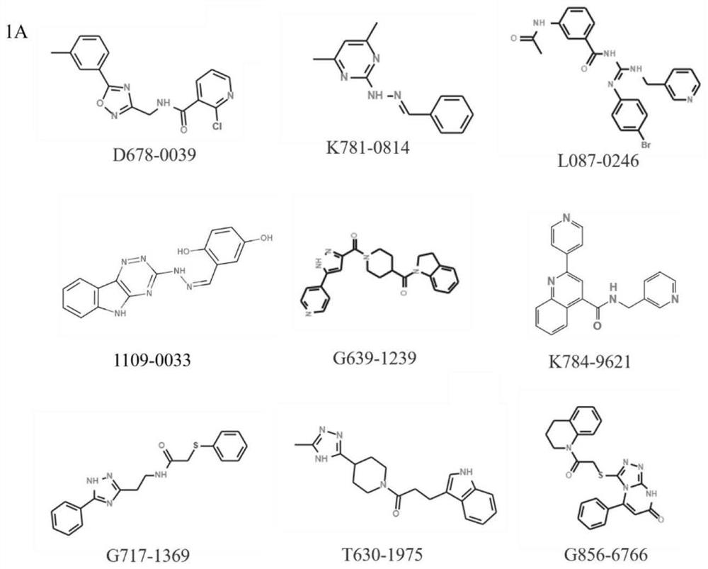 Aromatic compound as activator of neuroplexin-B2 and application of aromatic compound in preparation of medicine for treating osteoporosis