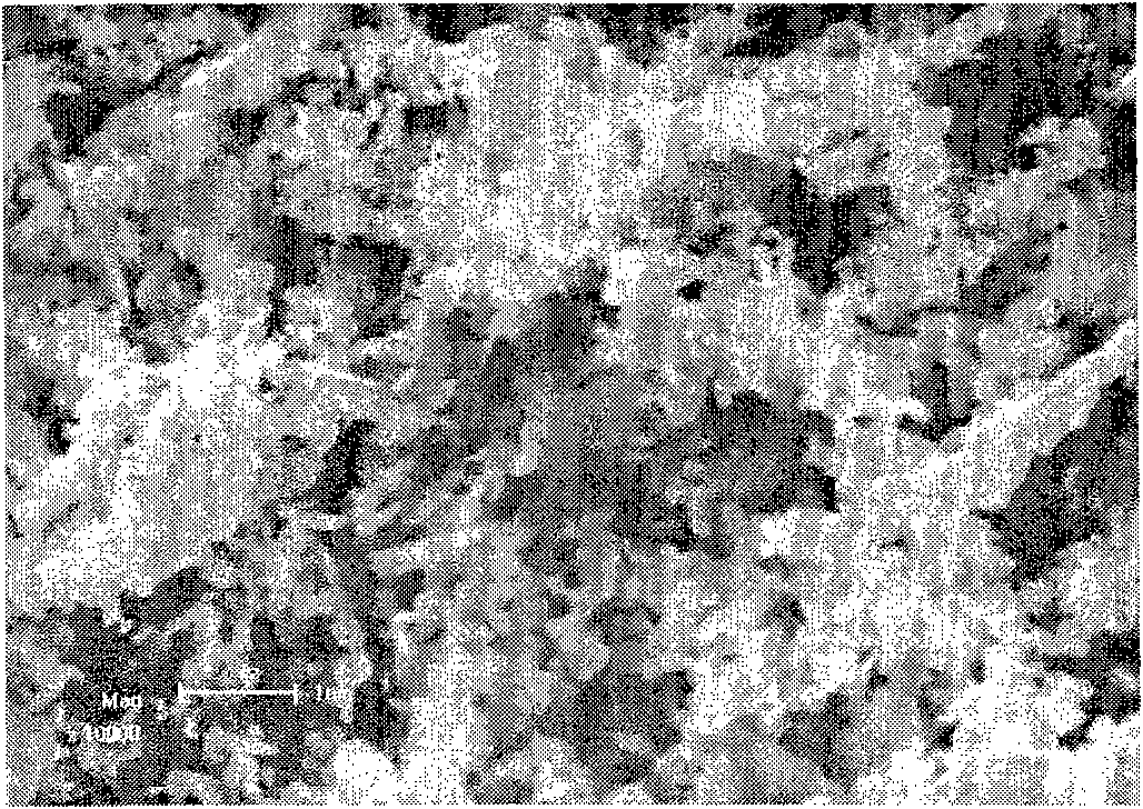 Preparation method and application of transition metal phosphide Co2P