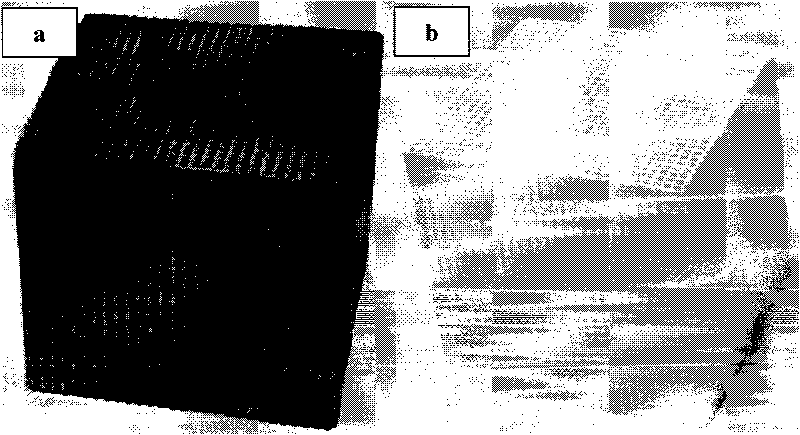 Low-concentration nitrogen oxide adsorbent and preparation method thereof