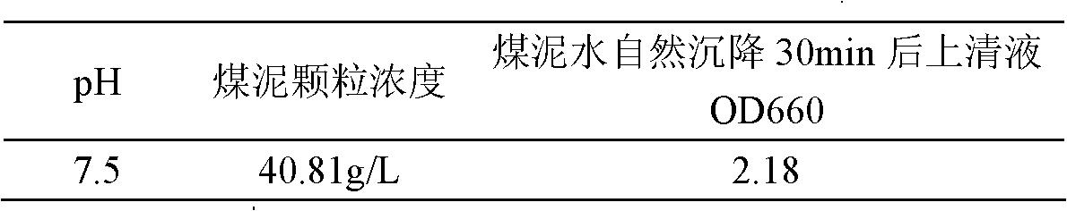 Composite bacterial coal biological flocculant and method for purifying slime water by same