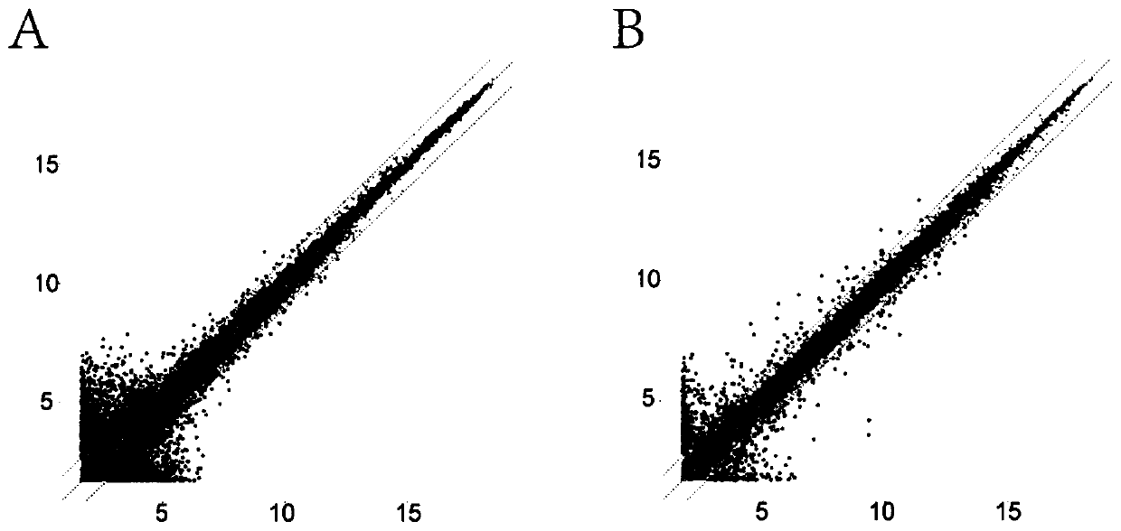 Application of lncRNA 11496 in diagnosis and treatment of toxoplasmosis