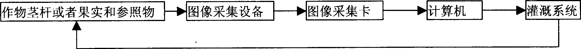 Crop water-requesting information determination based on computer vision