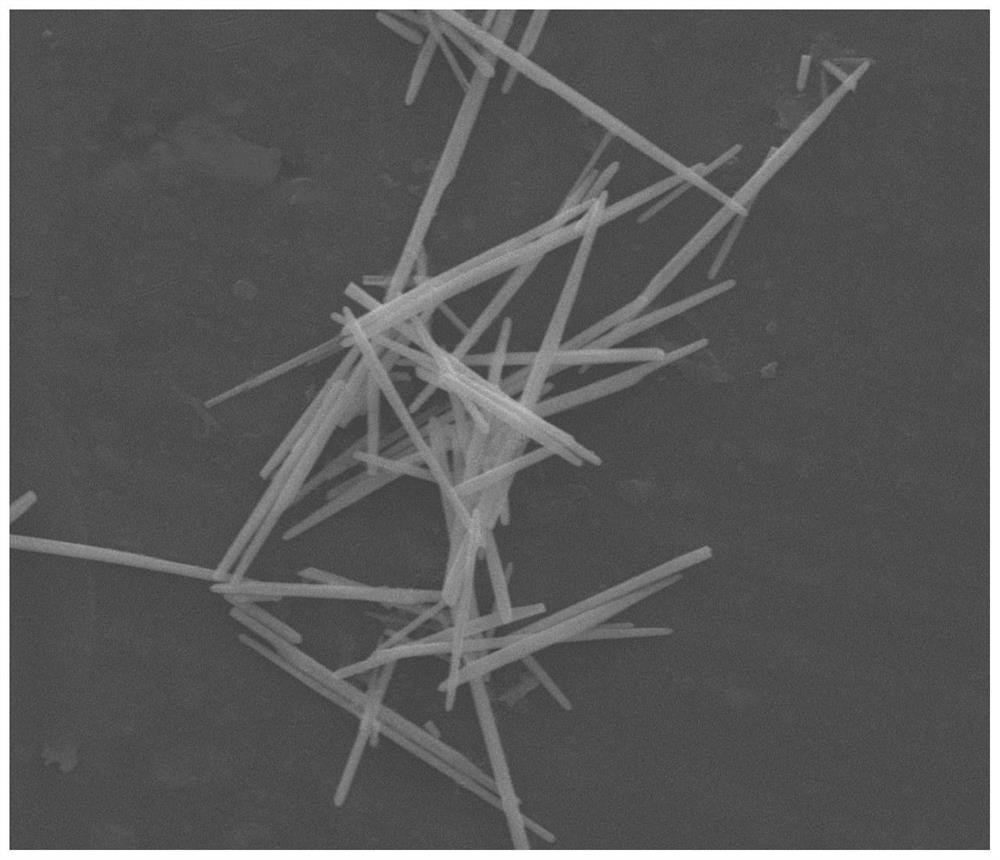 Tellurium catalyst and application thereof in photo-thermal catalytic air disinfection