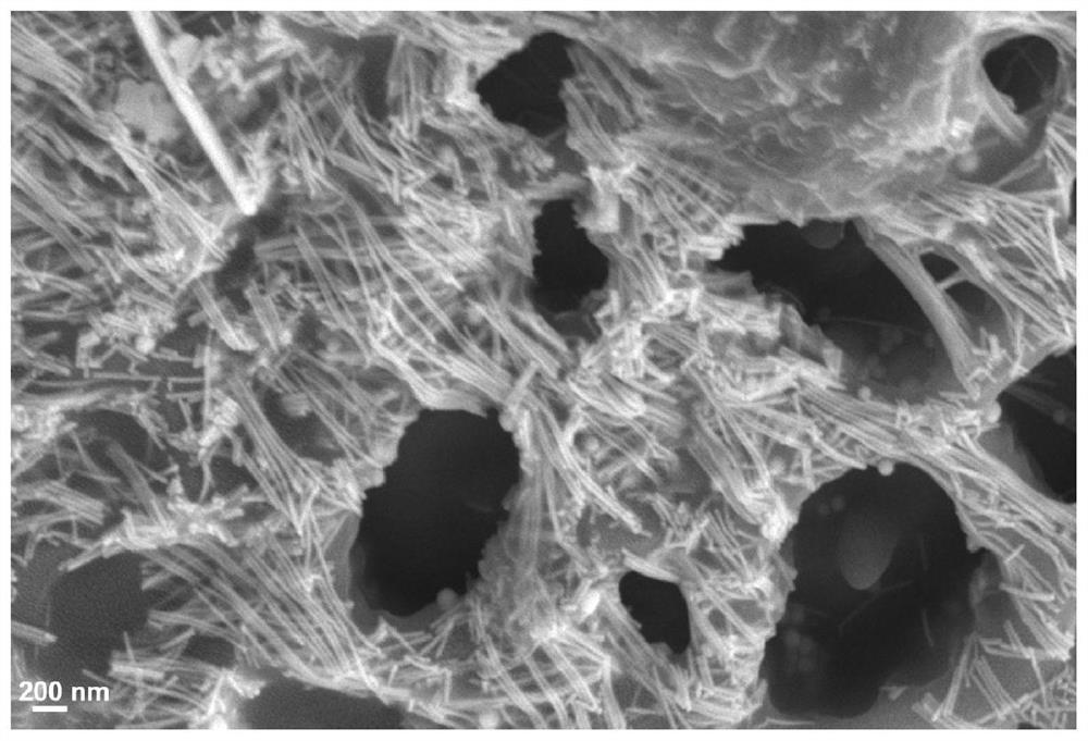 Tellurium catalyst and application thereof in photo-thermal catalytic air disinfection