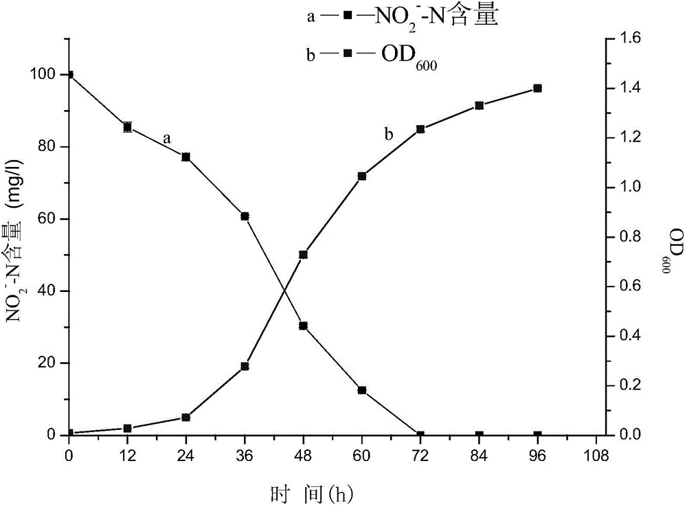 Arthrobacter with aerobic denitrification capability and application thereof