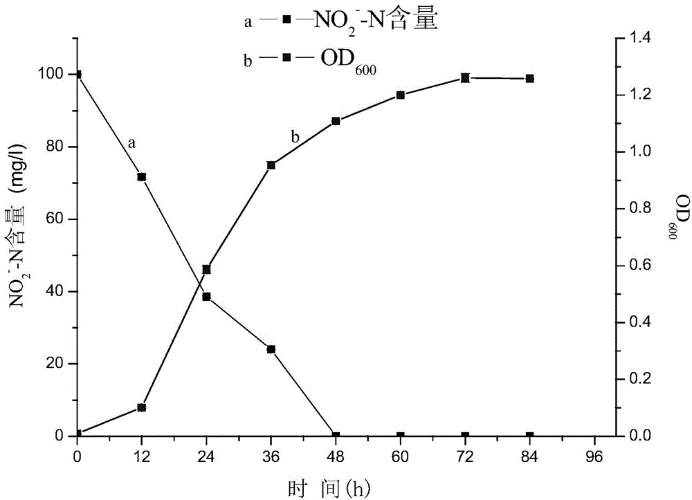 Arthrobacter with aerobic denitrification capability and application thereof