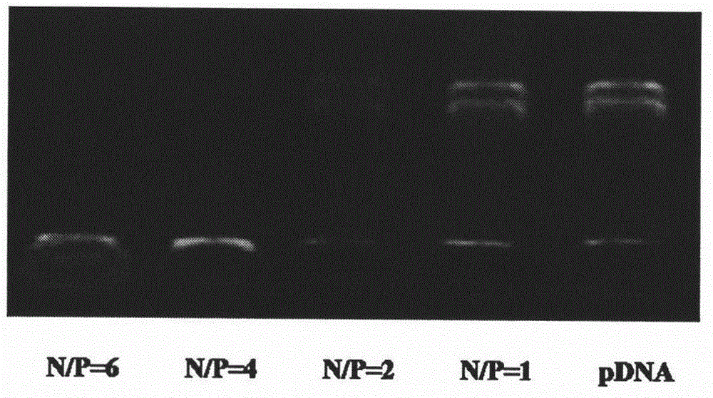 Dendritic cell-targeted pH-response type DNA vaccine delivery system and preparation method