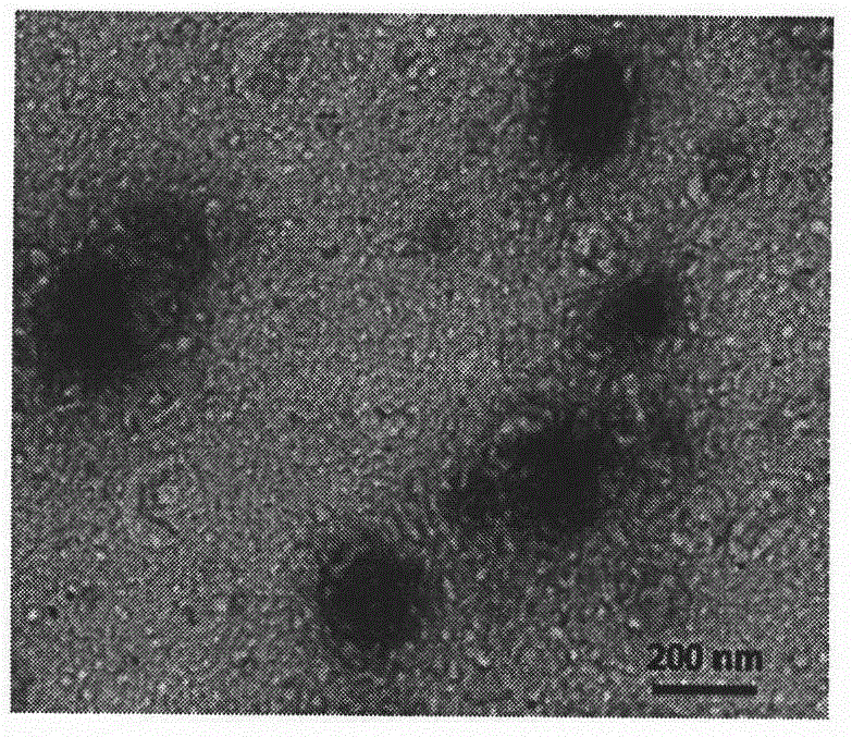 Dendritic cell-targeted pH-response type DNA vaccine delivery system and preparation method