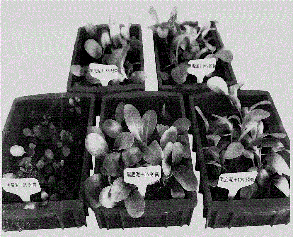 Method for synthesizing artificial soil from sediment