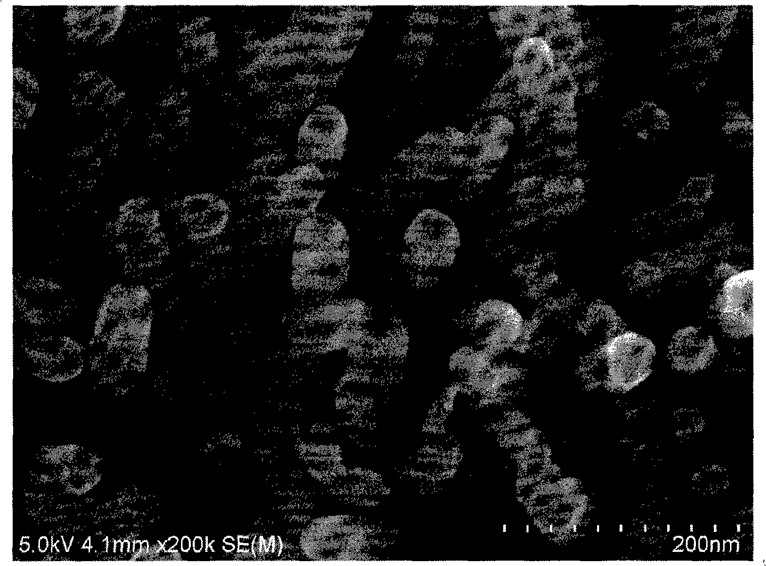 Chemical modification method of aromatic diazo salt to ZnO nanostructured surface