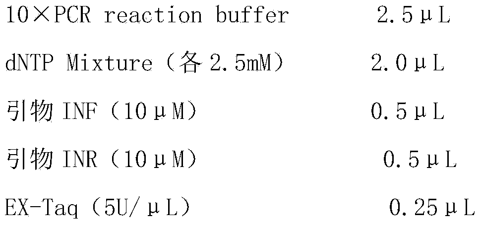 Molecular marking method for indicating common premunition of sheep