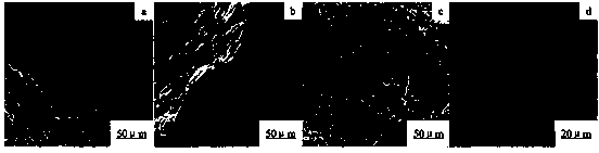 Method for improving density of foam titanium