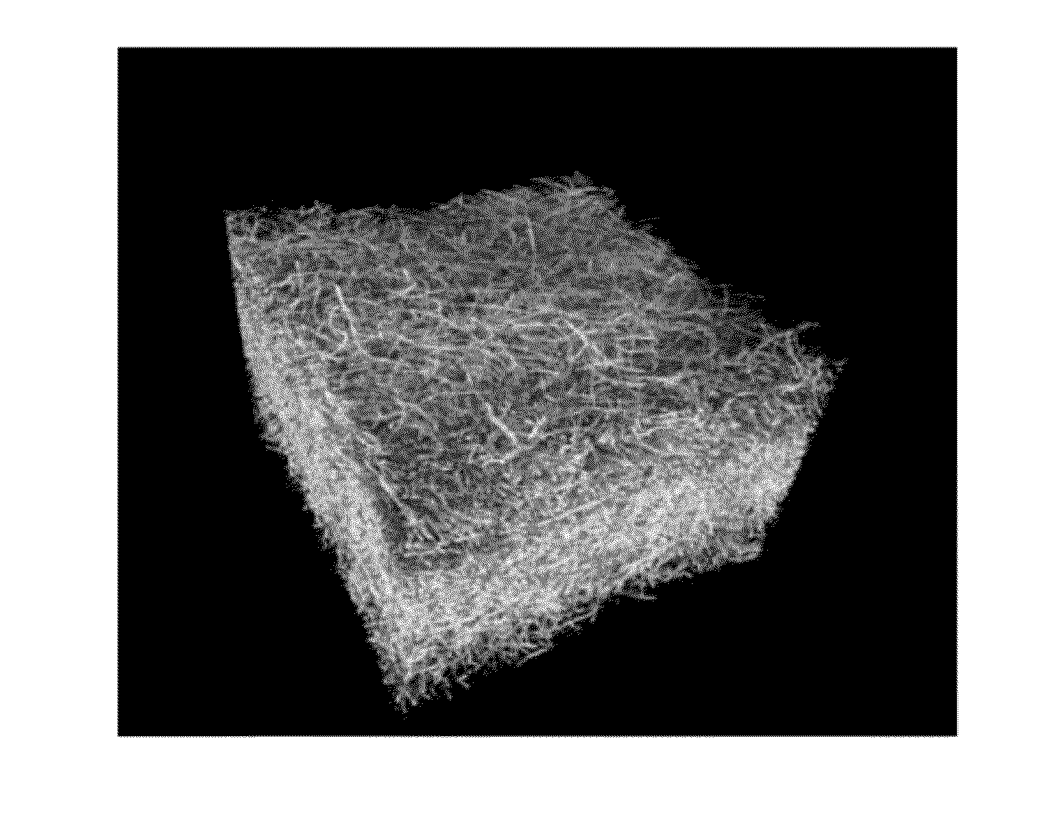 Absorbent Members Having Density Profile