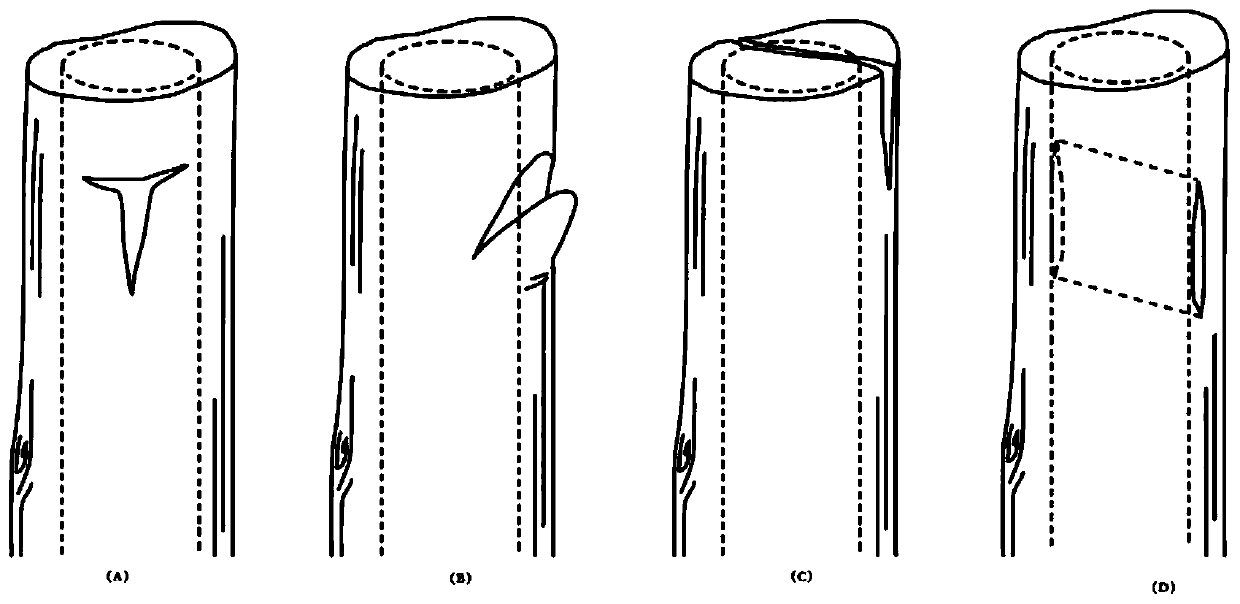 A kind of shoot tip microbud grafting puncture method