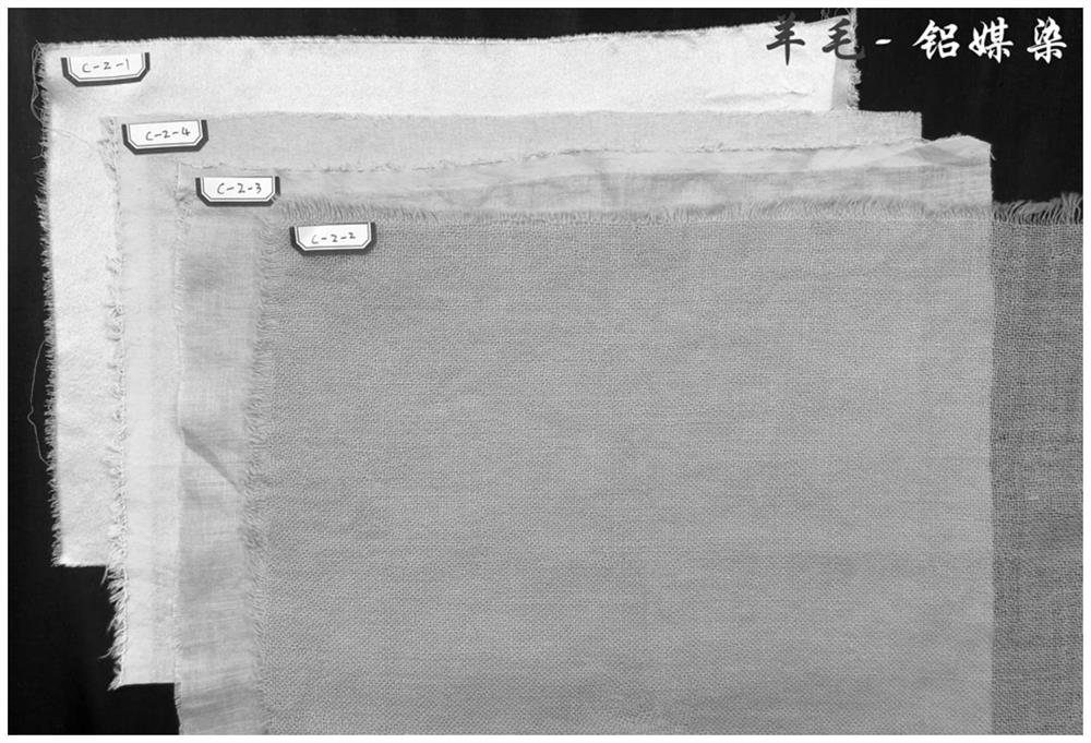 Ampelopsis grossedentata tea agricultural waste plant dye and application of preparation method thereof in cloth dyeing