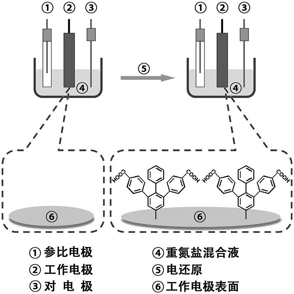 Preparation of fixation-free biological sensing electrode and application of fixation-free biological sensing electrode to label-free homogeneous photo-electrochemical pesticide residue detection and cancer diagnosis