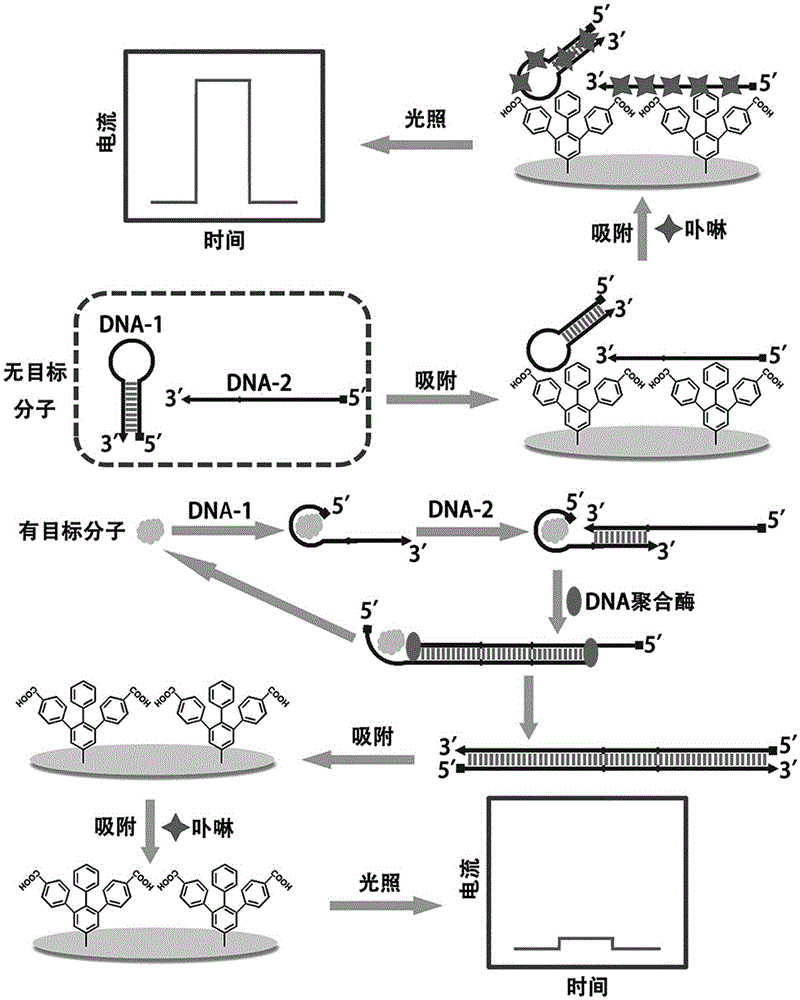 Preparation of fixation-free biological sensing electrode and application of fixation-free biological sensing electrode to label-free homogeneous photo-electrochemical pesticide residue detection and cancer diagnosis