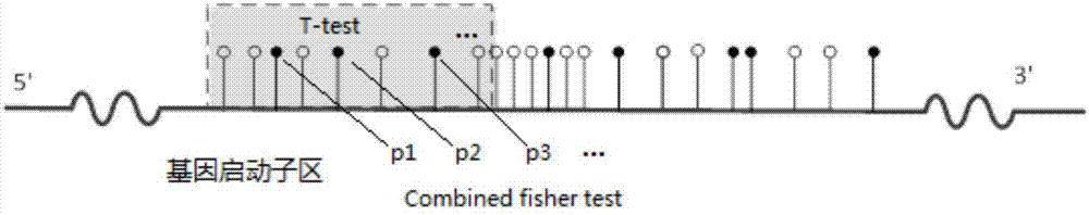 Fusion method for gene expression and methylation data