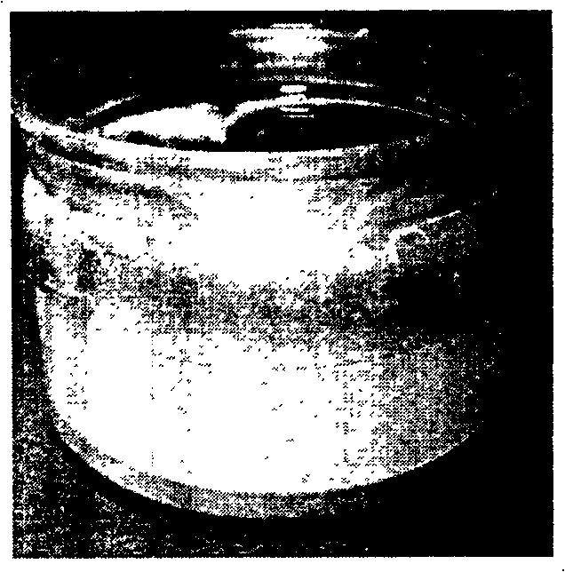 Nano SiO2-organosilicon coating and preparation method thereof