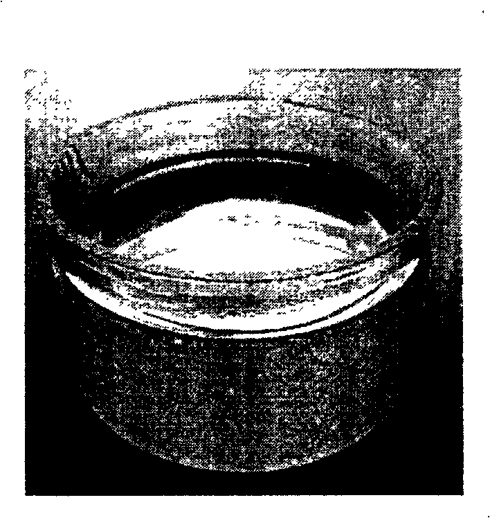 Nano SiO2-organosilicon coating and preparation method thereof