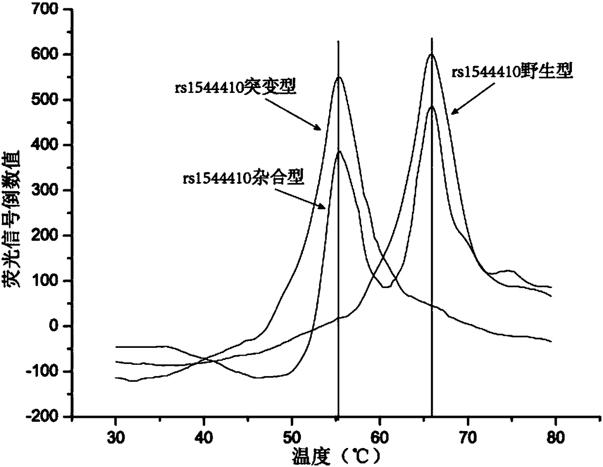 Primer pair, probe and kit for detecting human VDR, GC, LRP5 and SLC30A8 gene polymorphism