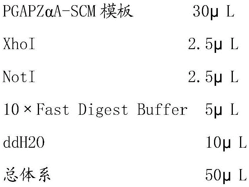 Monellin protein mutant and preparation method thereof