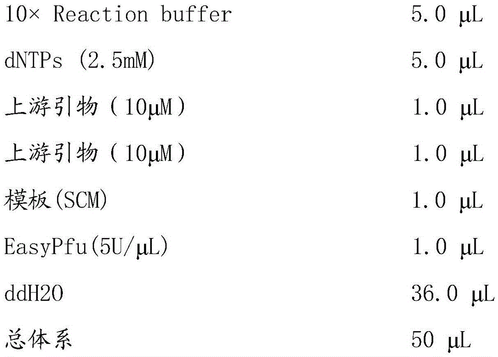 Monellin protein mutant and preparation method thereof