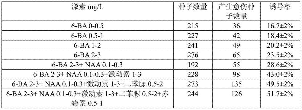 A kind of Lycium barbarum aseptic seedling and method for obtaining callus thereof