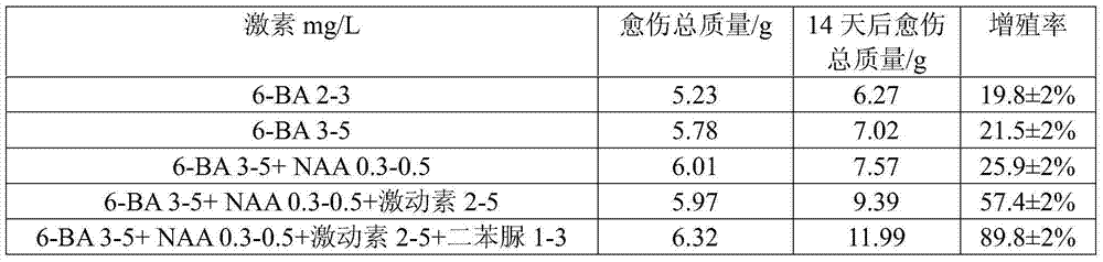 A kind of Lycium barbarum aseptic seedling and method for obtaining callus thereof