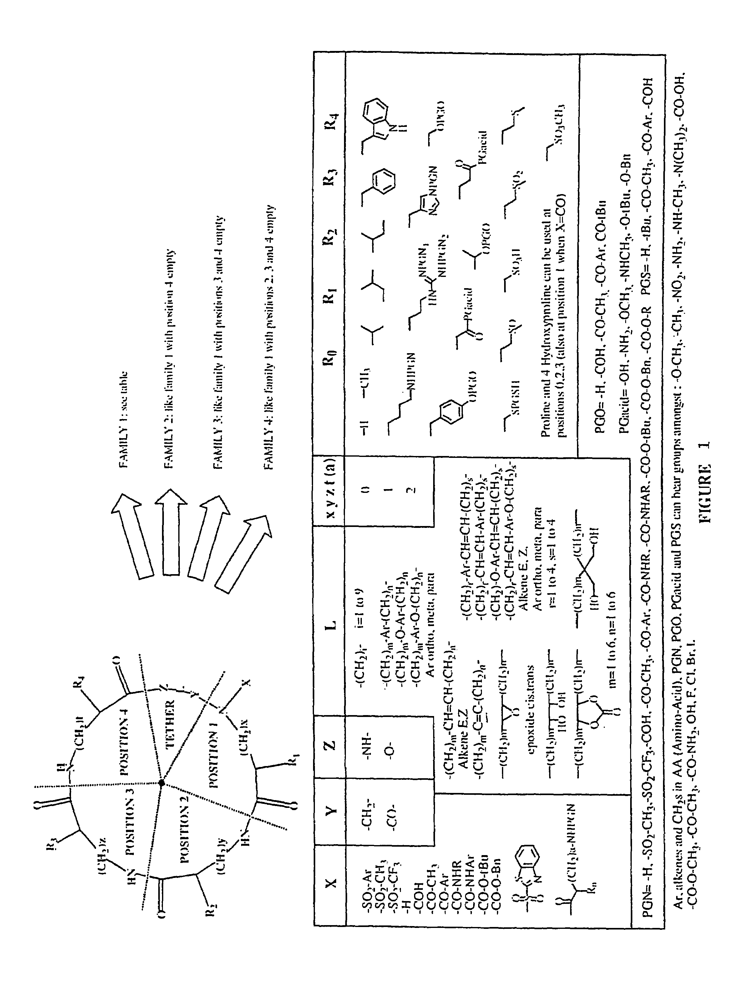 Combinatorial synthesis of libraries of macrocyclic compounds useful in drug discovery