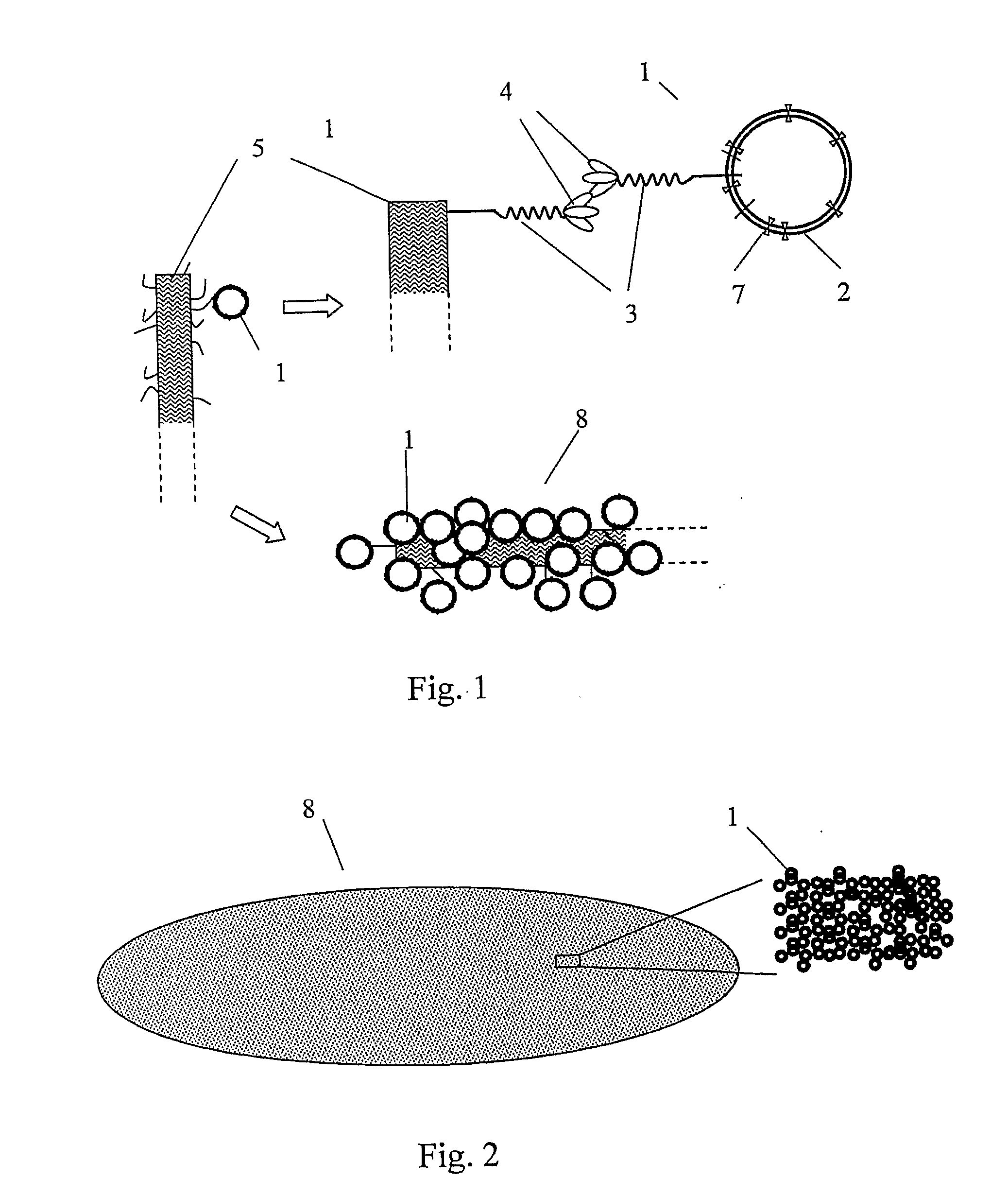 Biomimetic Membrane Formed from a Vesicle-Thread Conjugate