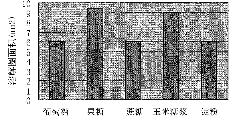 Natto beverage and preparation method thereof