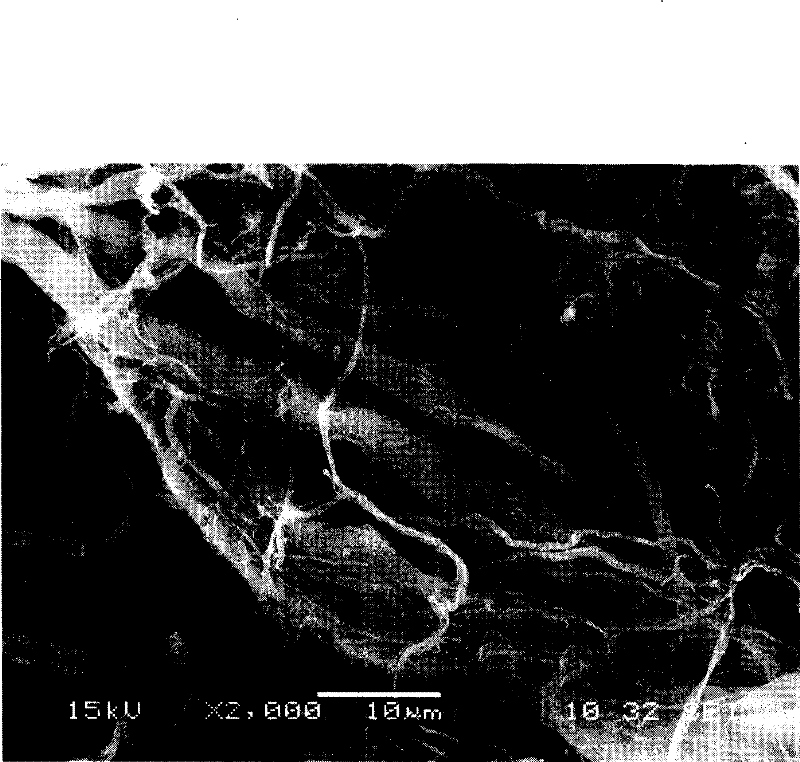 Method for continuously producing polyacryl-nitrile pulp-like fibre