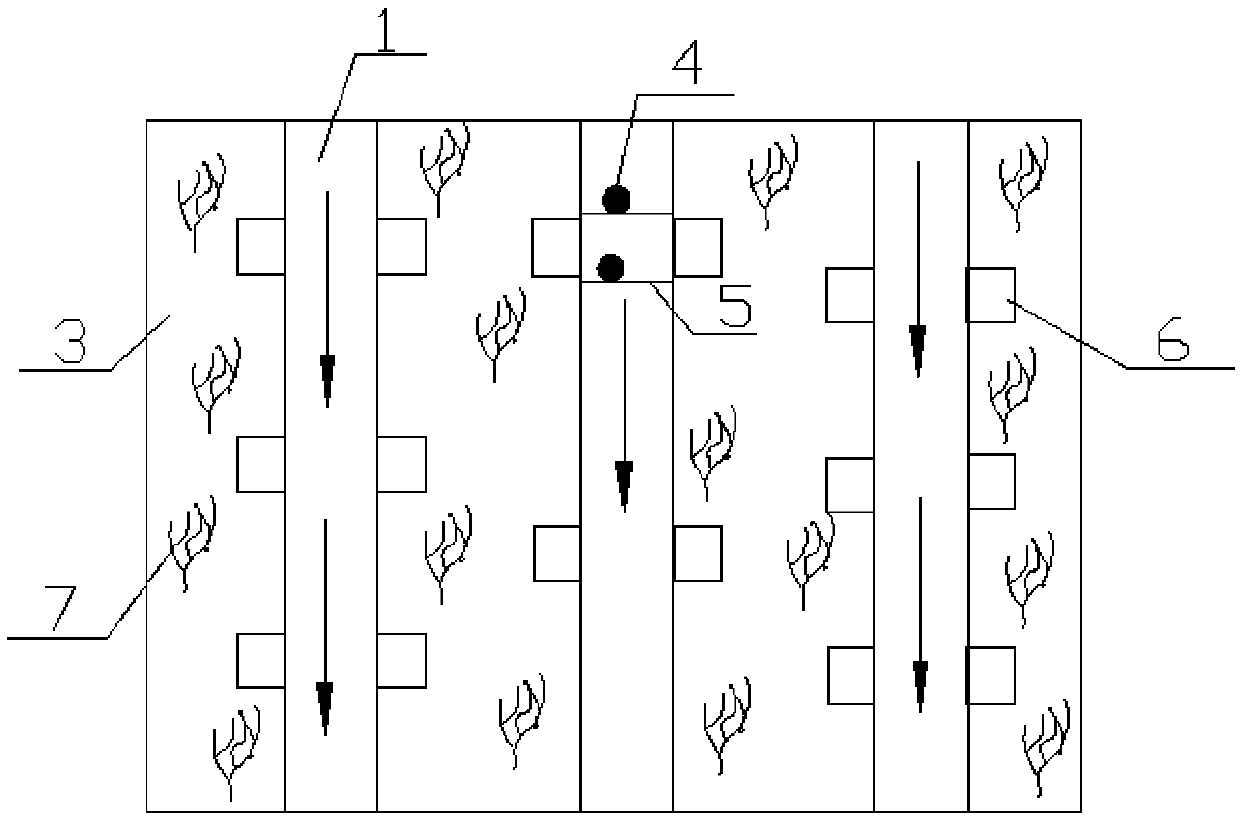 Ecotype-imitating breeding system for andrias davidianus