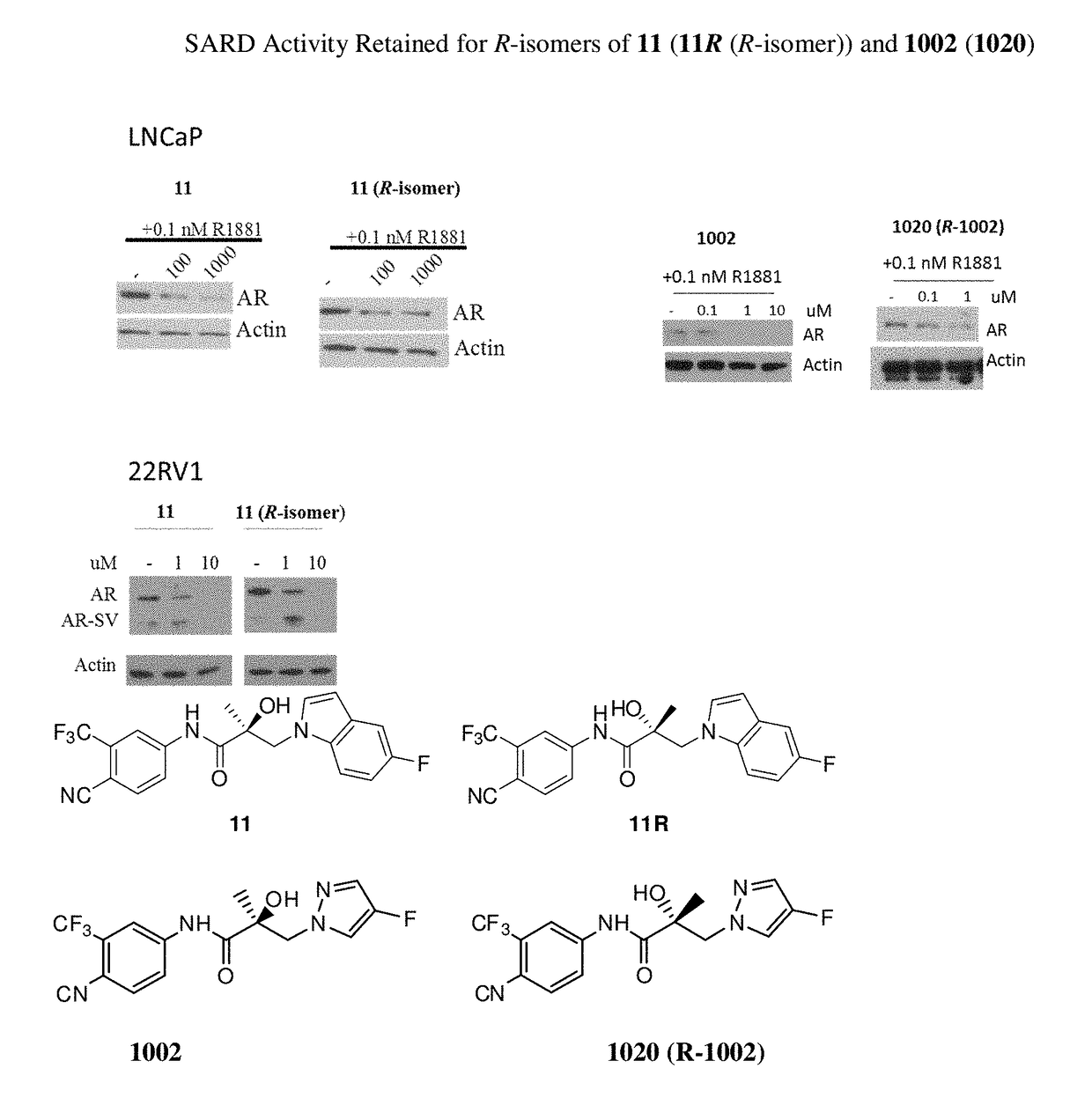 Selective androgen receptor degrader (SARD) ligands and methods of use thereof