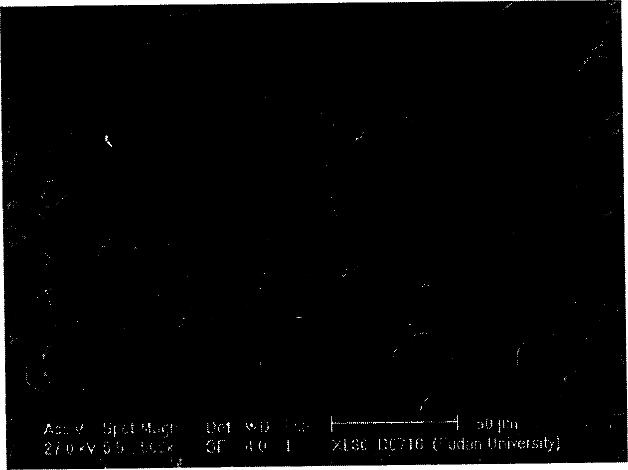 Composite oxide catalyst for preparing propylene by oxidative dehydrogenation of propane and preparation method thereof