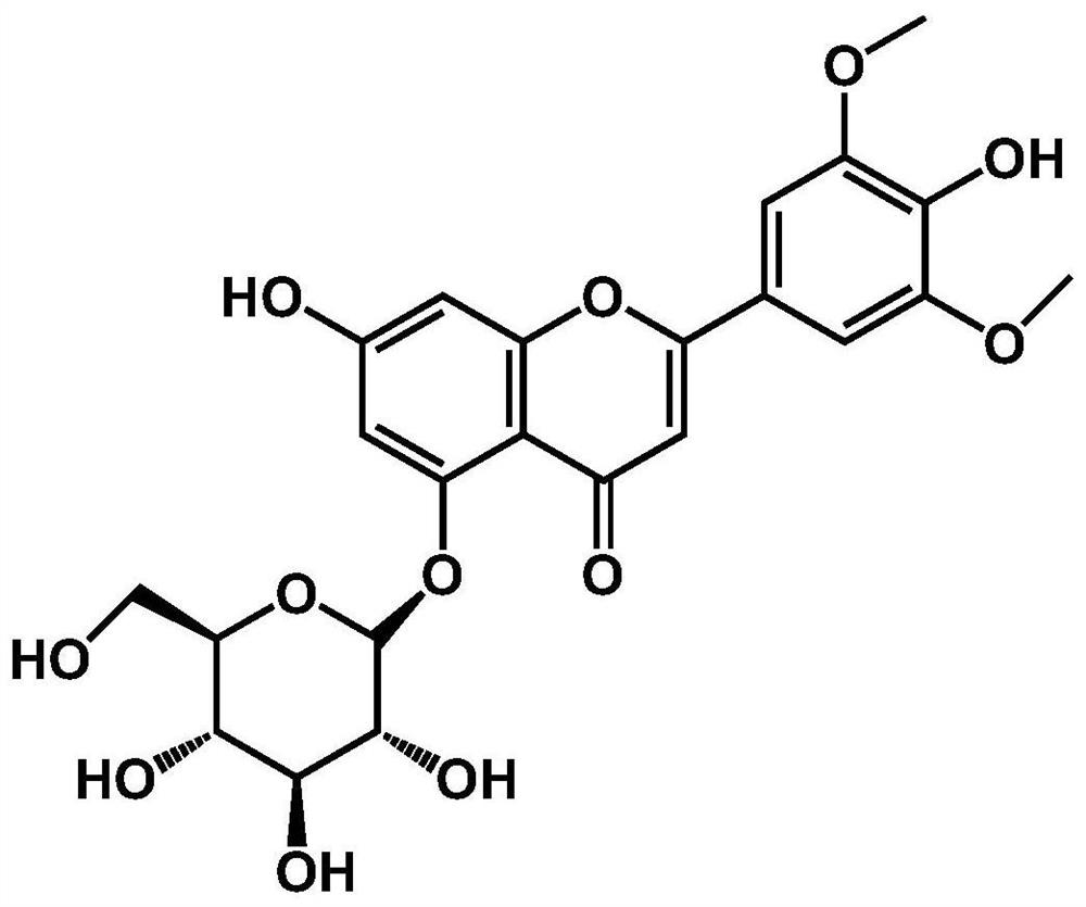 Application of wheat flavone-5-O-glucoside in regulating and controlling resistance of plants to weeds