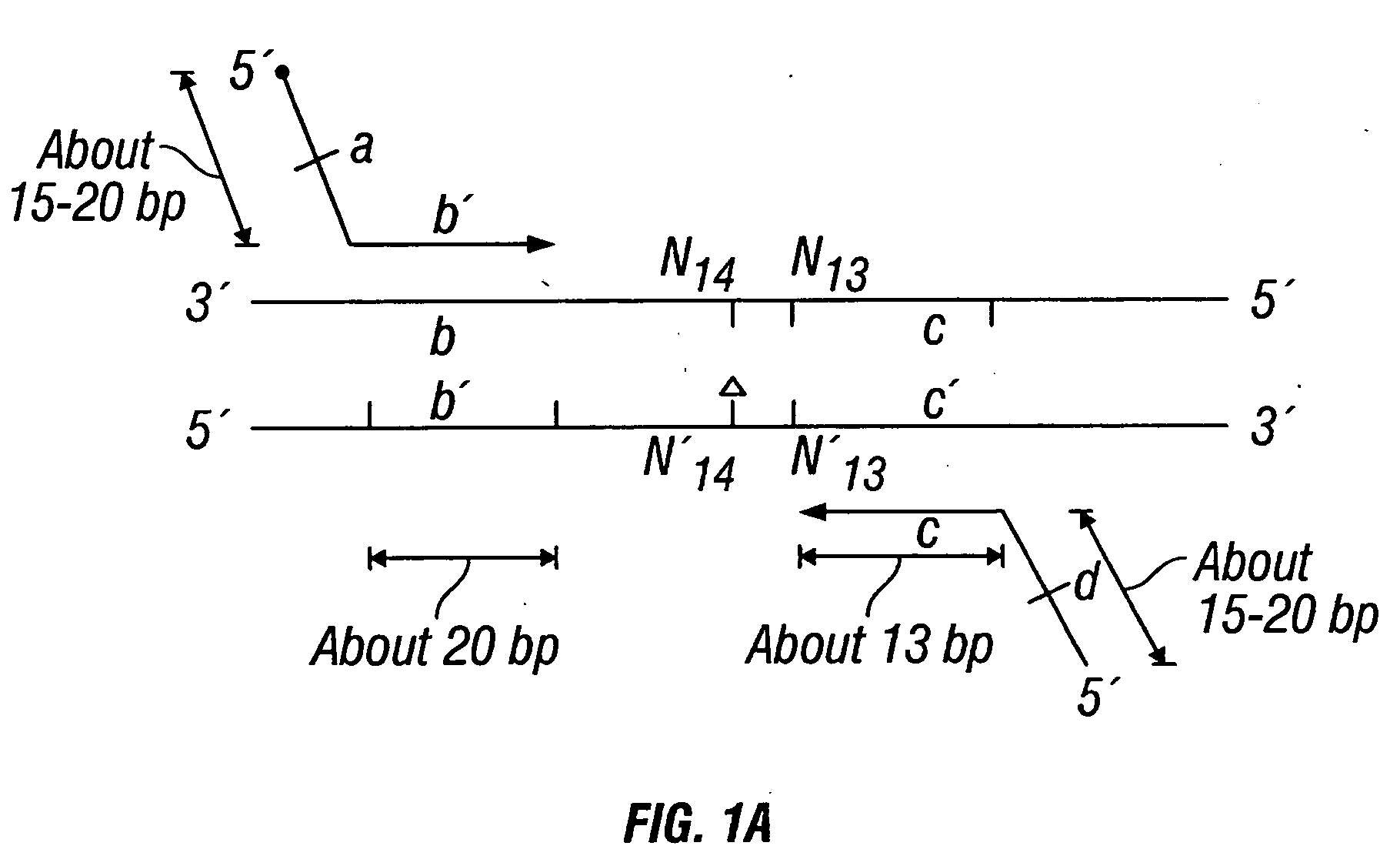 Methods for detection of genetic disorders