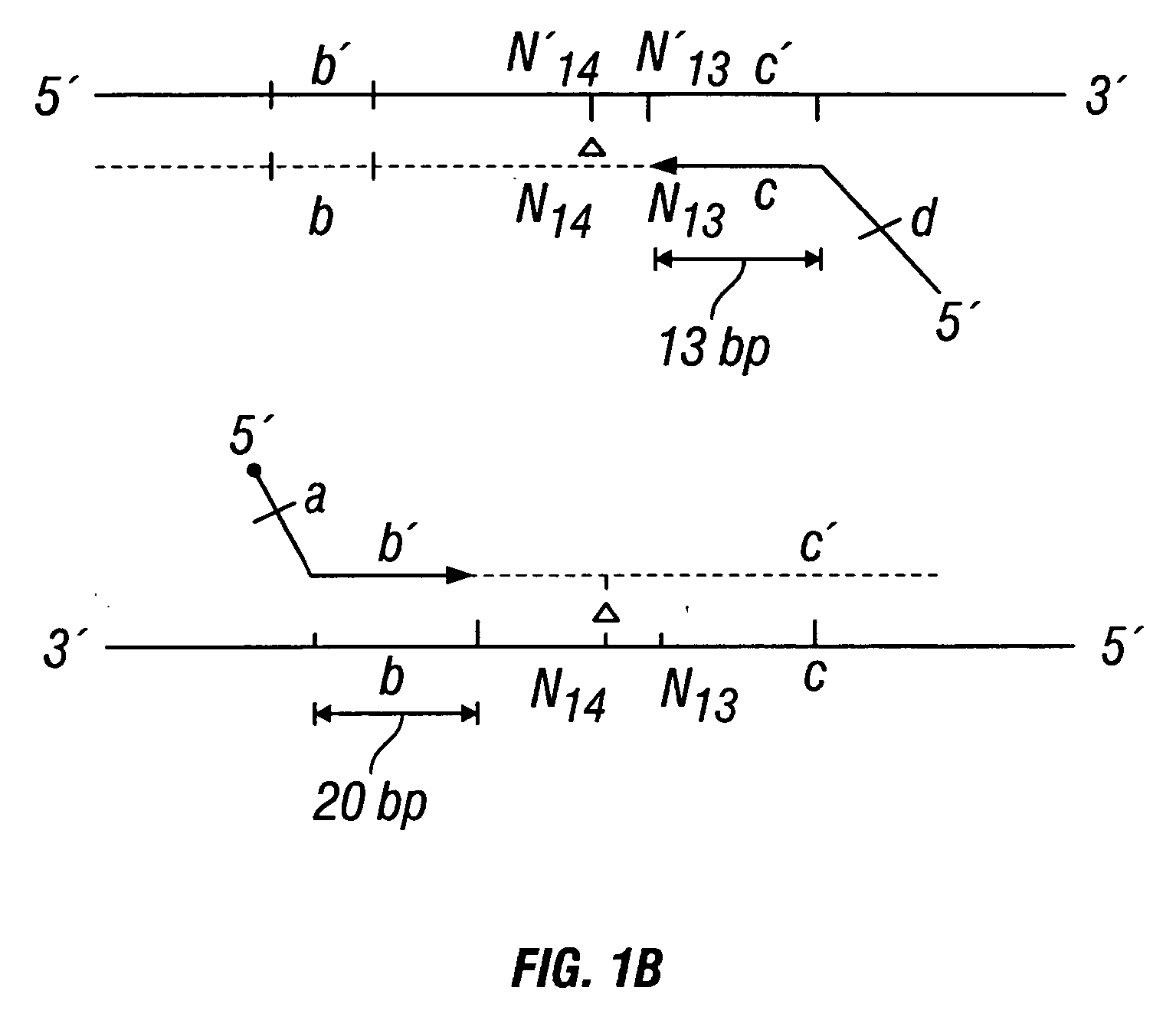 Methods for detection of genetic disorders