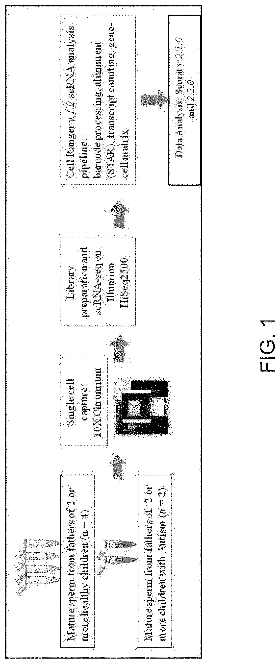 Single sperm gene expression and mutation anaylsis for prediction of diseases