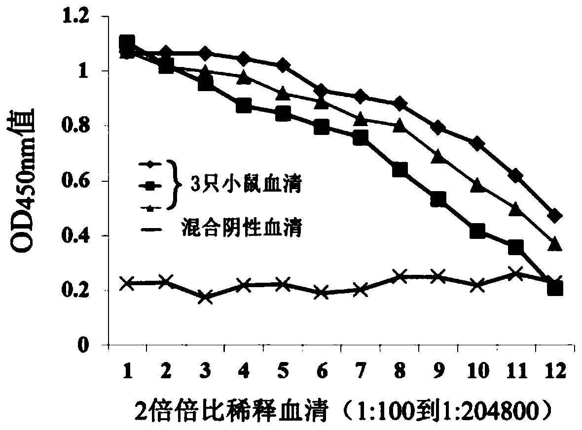 Application of il-2 protein in preparation of animal vaccine adjuvant