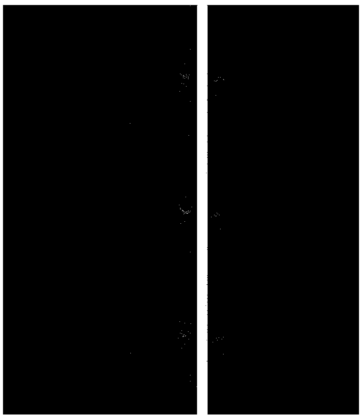 Fastener elastic strip displacement detection method