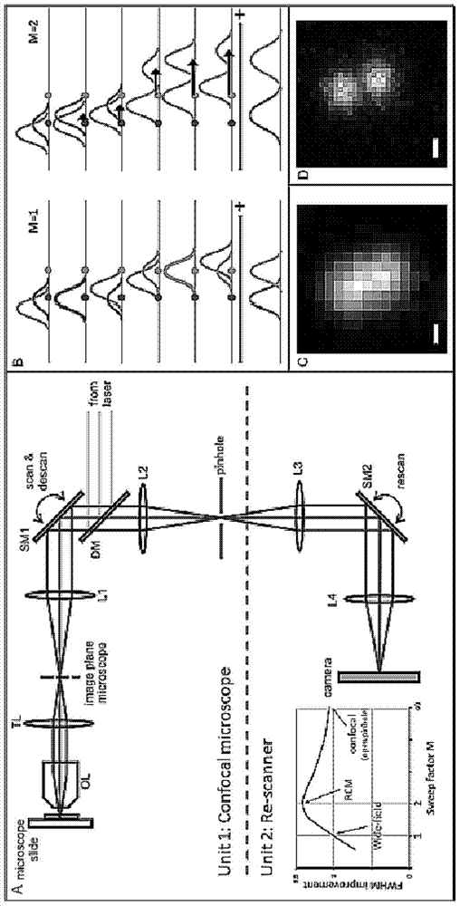 A color super-resolution imaging device and method