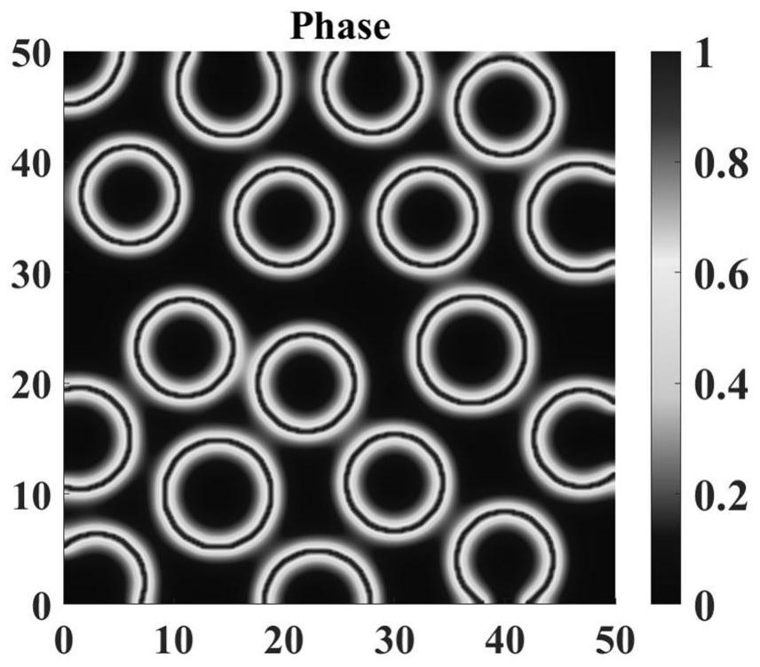 Method for predicting interface failure and mesoscopic crack propagation of composite material under hydraulic osmotic load