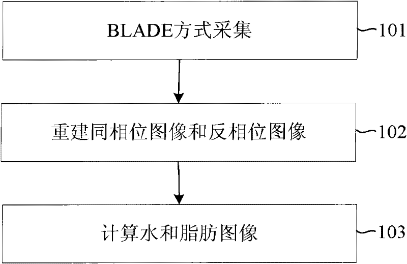 Magnetic resonance imaging method for realizing water-fat separation