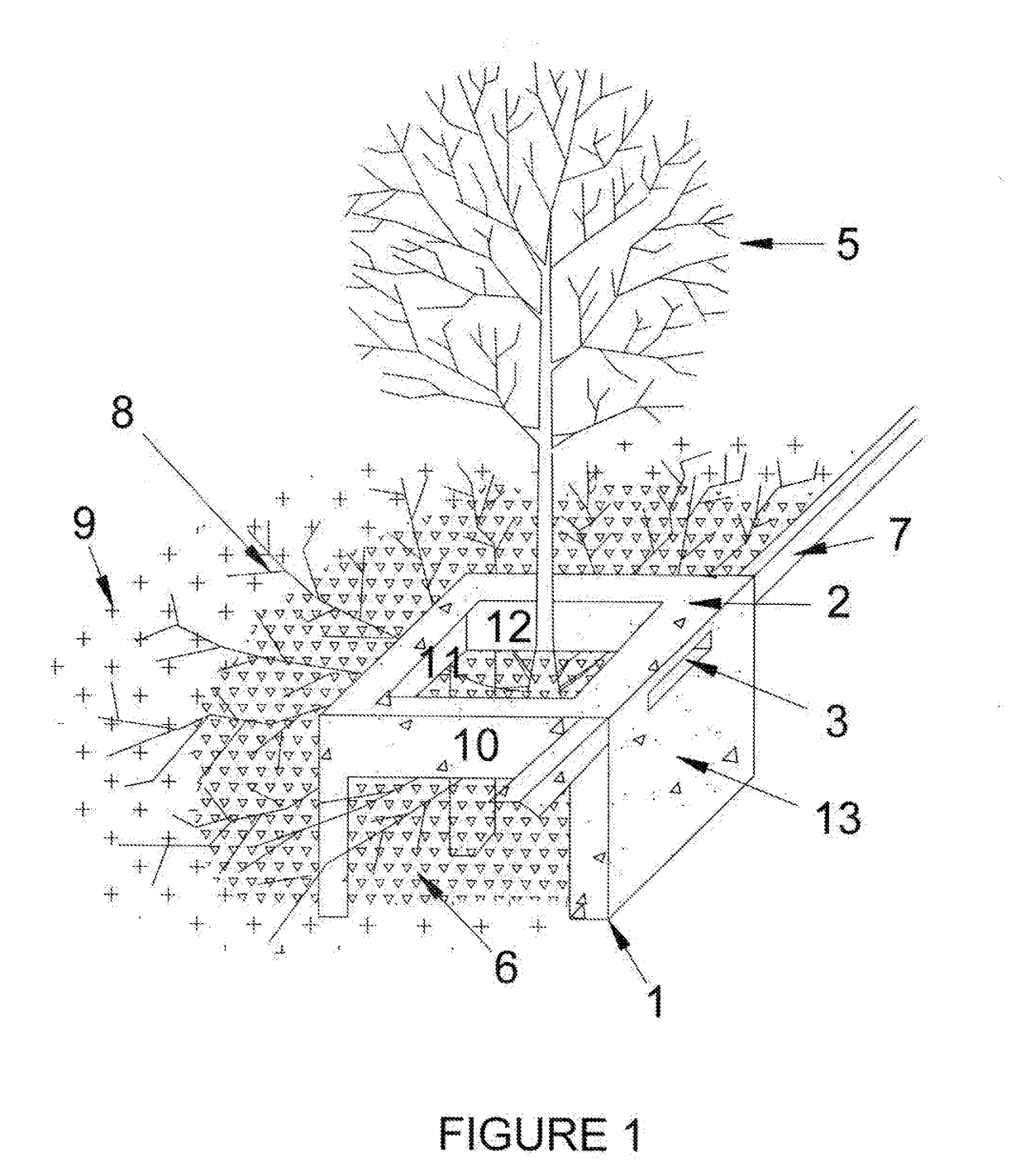 Tree Frame and Grate System and Method to Improve Growth of Vegetation in an Urban Environment