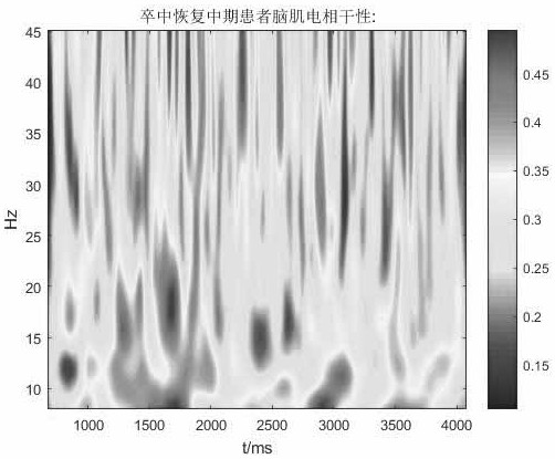 Stroke rehabilitation evaluation method based on electroencephalogram and electromyographic signal wavelet coherence coefficients